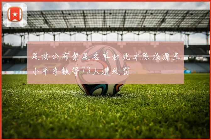 足协公布禁足名单杜兆才陈戌源王小平李铁等73人遭处罚