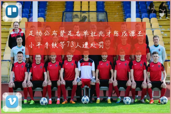 足协公布禁足名单杜兆才陈戌源王小平李铁等73人遭处罚