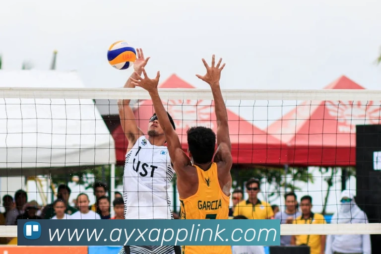 爱游戏体育平台生态图