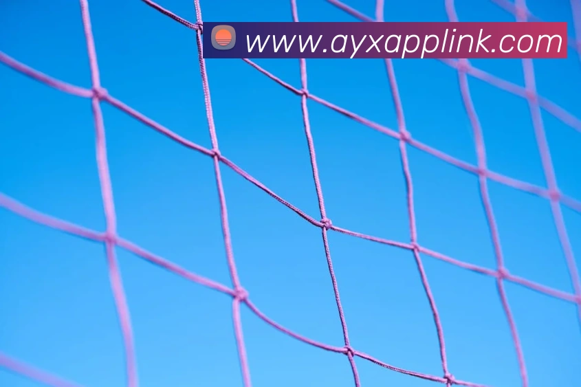 爱游戏体育服务体系