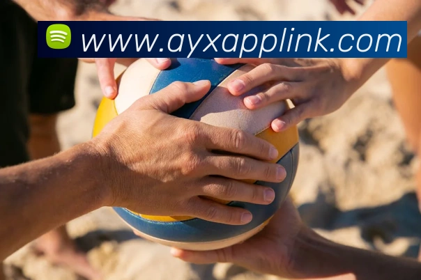 多媒体互动体验