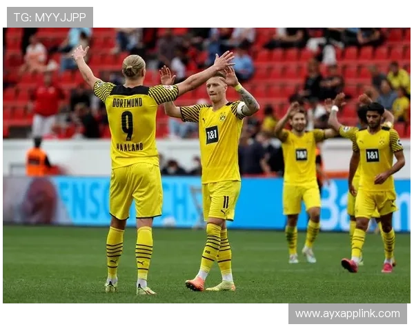 德甲球队间关系及友好互动案例分享