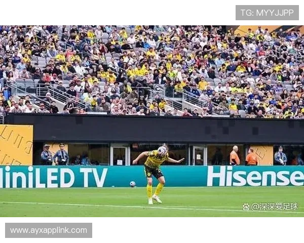 德甲部分球队率先恢复训练的进展 德甲部分球队率先恢复训练的进展