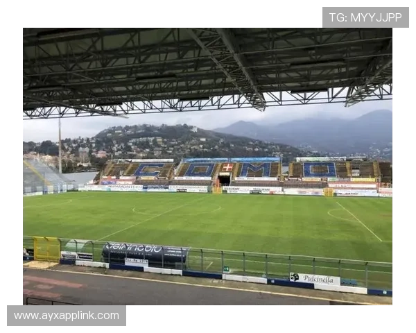 意甲球队主场环境与设施分析